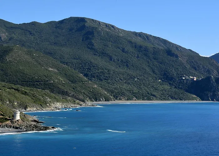 ホテル Saint Roch Ogliastro (Corsica)