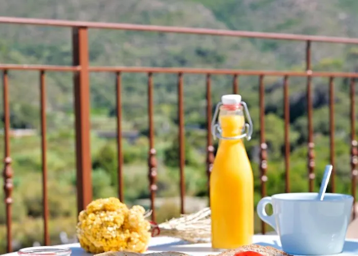 Saint Roch ホテル