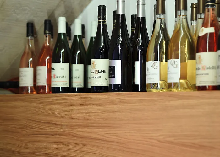 Saint Roch 酒店 Ogliastro (Corsica)